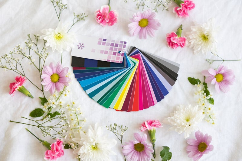 V&auml;ripalettiviuhka TALVI