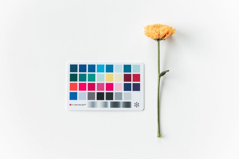 V&auml;ripalettikortti TALVI